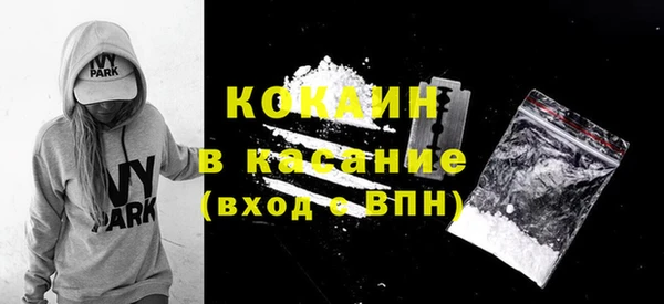 шишки Богородск