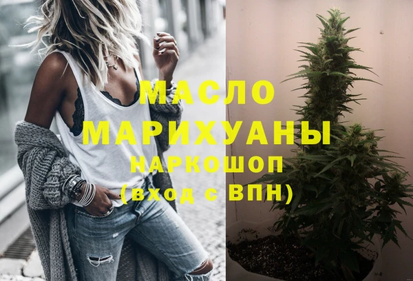 молекула духа Богородицк