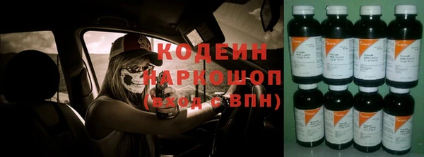 дмт Богданович