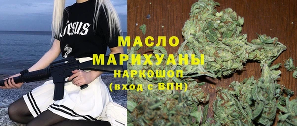 молекула духа Богородицк