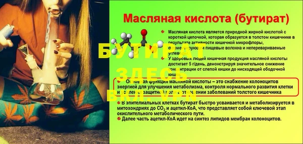 дмт Богданович