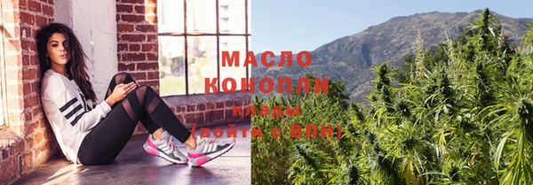 молекула духа Богородицк