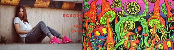 шишки Богородск
