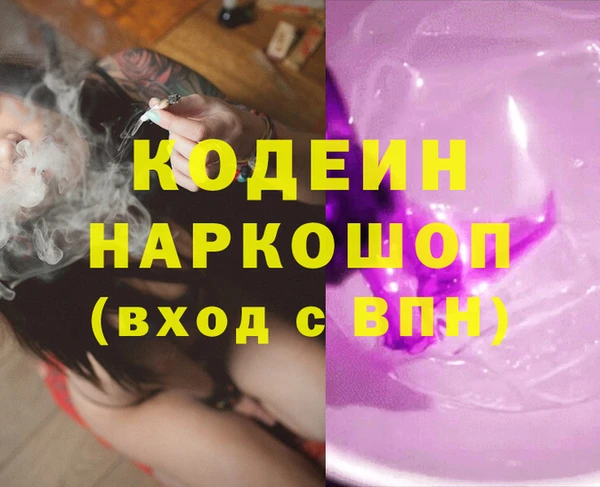 дмт Богданович