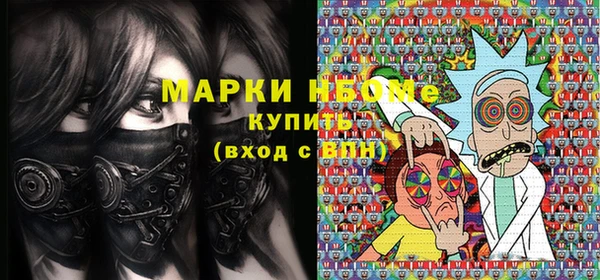 молекула духа Богородицк