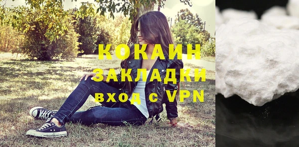 молекула духа Богородицк