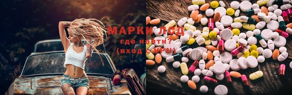 дмт Богданович